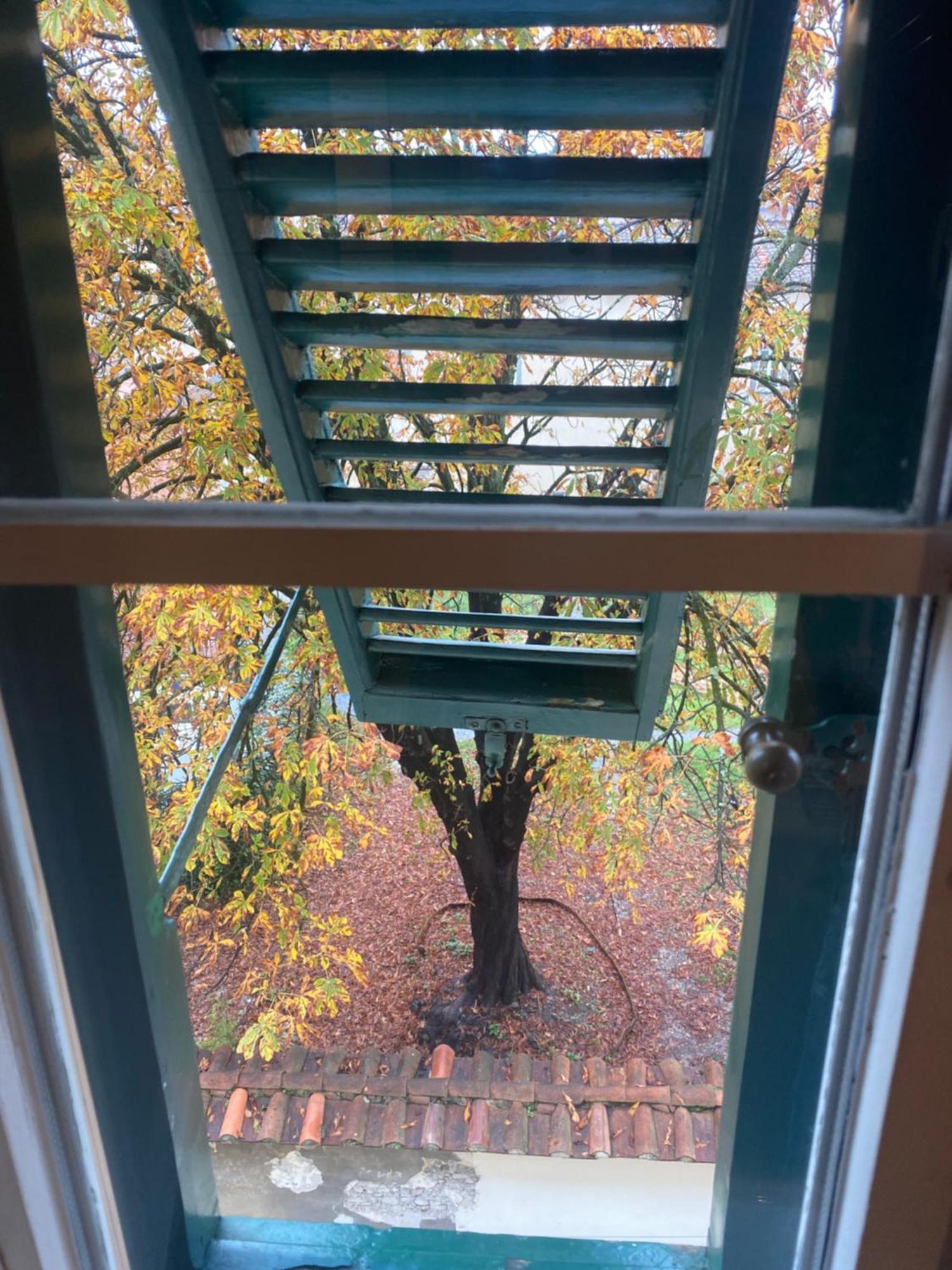 Appartamento Casa Amorino Lucca Esterno foto